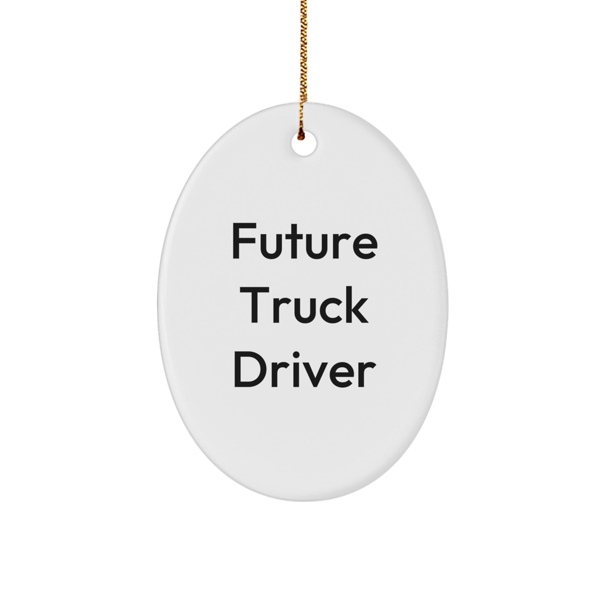 Funny Gifts from Family to Future Truck Driver - Oval Ornament for Christmas Unique Truck Driver Gifts - Image 1