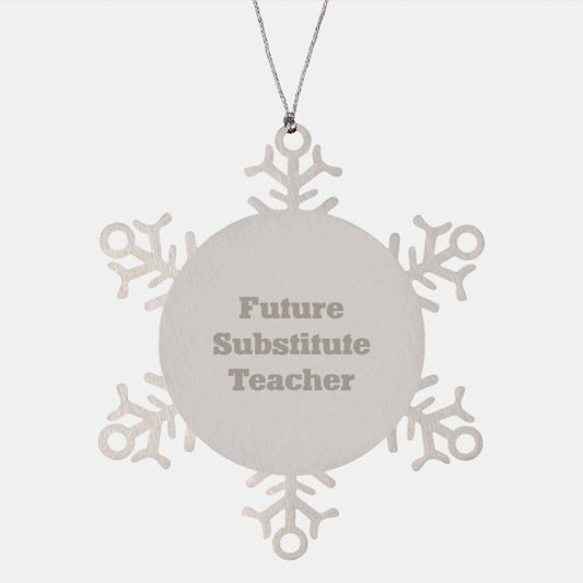 Funny Gifts from Friends for Substitute Teacher, Snowflake Ornament with 'Future Substitute Teacher' Quote, Christmas Unique Gifts, Shatterproof Stainless Steel, 3.14 inches in diameter - Image 1