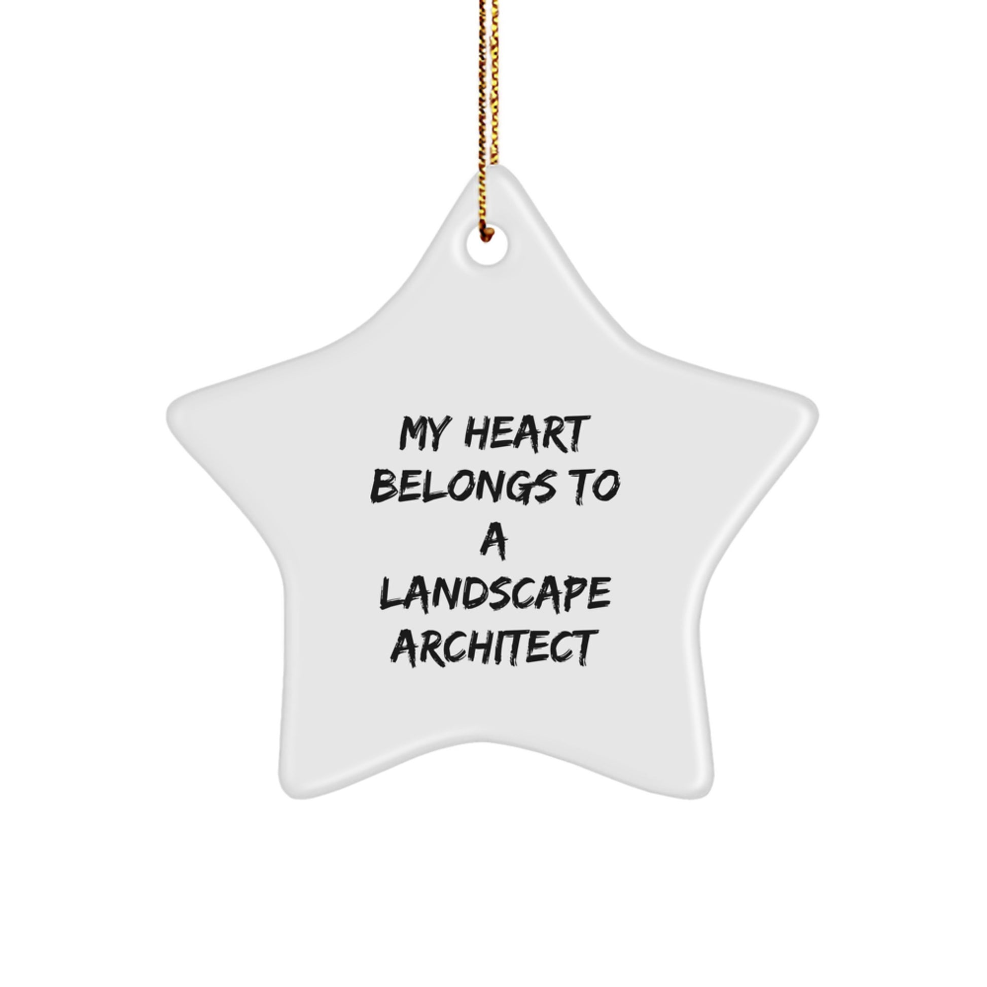 Funny Landscape Architect Star Ornament Gifts from Men to Women Friends Family for Christmas Unique Decoration - Image 1