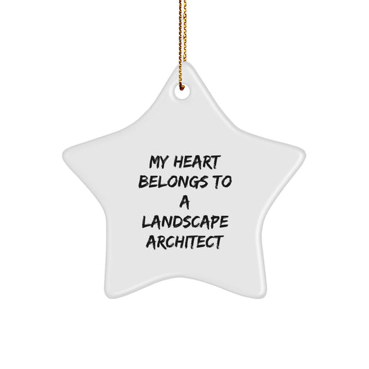 Funny Landscape Architect Star Ornament Gifts from Men to Women Friends Family for Christmas Unique Decoration - Image 1