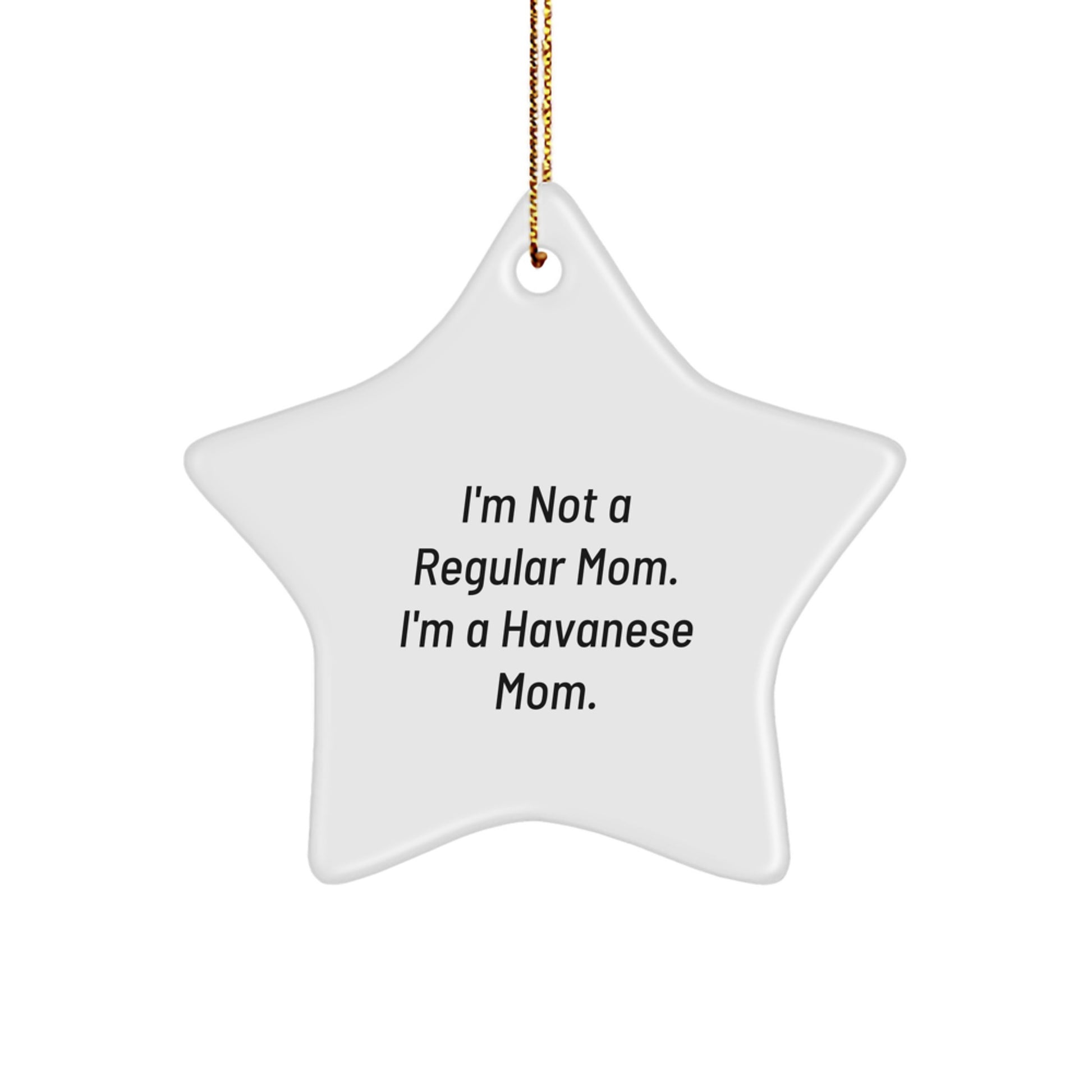 Funny Havanese Dog Mom Gifts from Family to Havanese Dog Lover for Christmas Unique Star Ornament - Image 1
