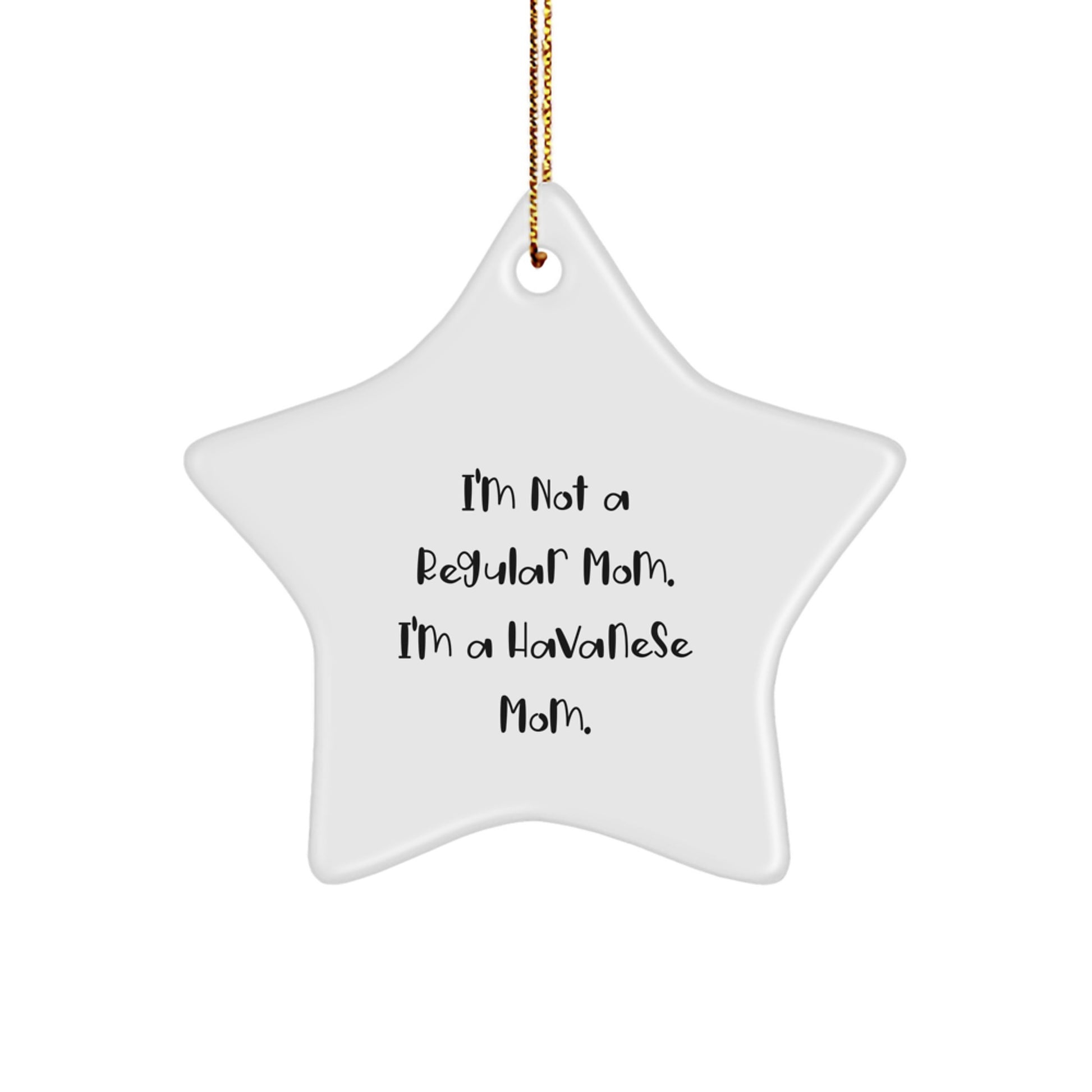 Funny Havanese Dog Christmas Unique Gifts from Mom to Havanese Dog Star Ornament for Home Decor - Image 1