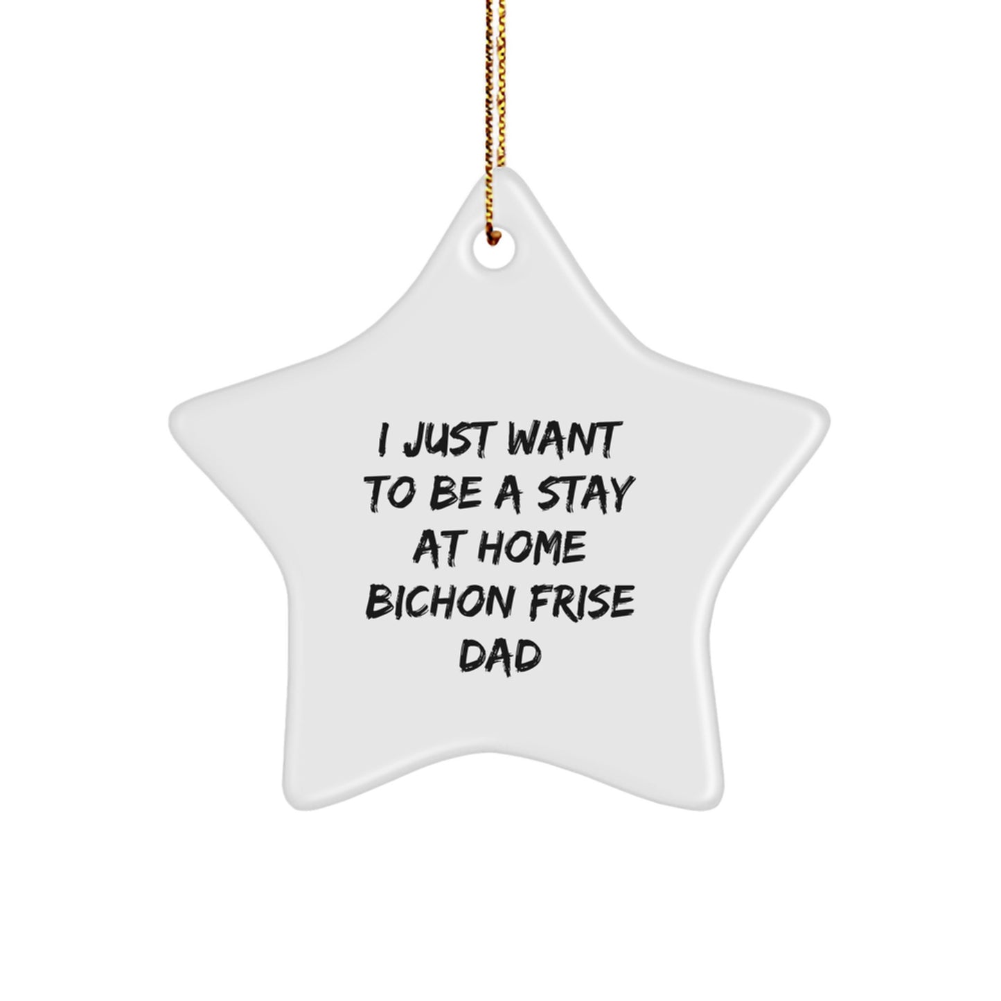 I Just Want To Be A Stay At Home Bichon Frise Dad's Christmas Unique Gift Star Ornament for His Furry Friend from Men to Friends, Perfect for Bichon Frise Dog Lovers - Image 1