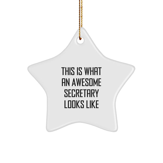 Secretary Gifts from Friends, This Is What An Awesome Secretary Looks Like, Star Ornament for Christmas - Image 1