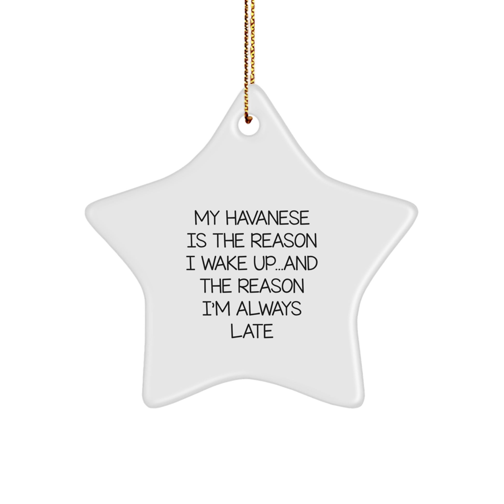 Funny Havanese Dog Lover Gifts from Family to Friends - My Havanese Is The Reason I Wake Up...and The Reason I'm Always Late Star Ornament for Christmas - Image 1