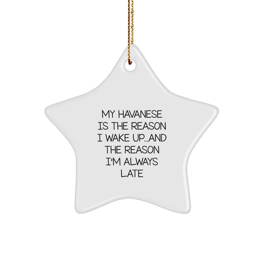 Funny Havanese Dog Lover Gifts from Family to Friends - My Havanese Is The Reason I Wake Up...and The Reason I'm Always Late Star Ornament for Christmas - Image 1