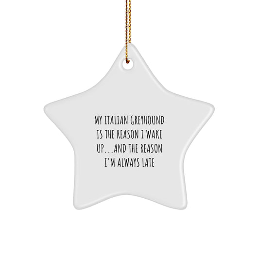 Italian Greyhound Dog Gifts: Funny Quote Star Ornament, Gifts from Family for Italian Greyhound Dog Lovers, Unique Christmas Unique Gifts for Her - Image 1
