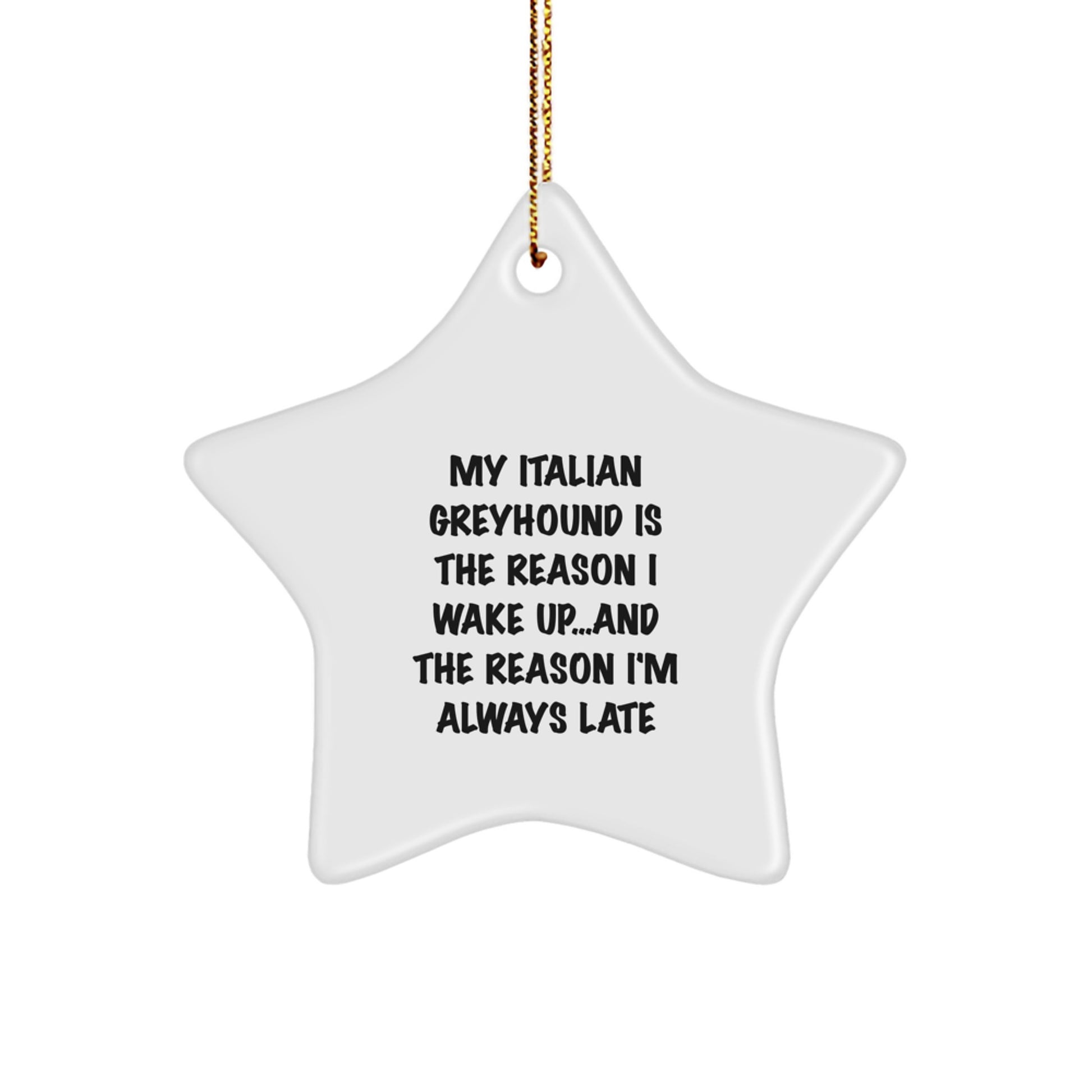 Funny Italian Greyhound Dog Gifts, Star Ornament for Women Friends, Quotes from Italian Greyhound Dog Owners - Italian Greyhound Dog Christmas Unique Gifts from Friends