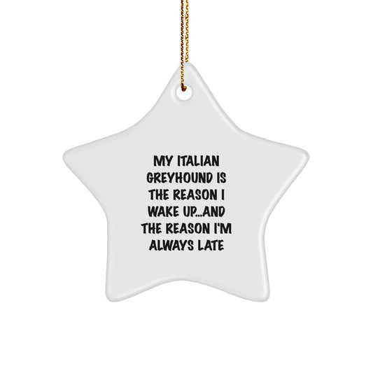 Funny Italian Greyhound Dog Gifts, Star Ornament for Women Friends, Quotes from Italian Greyhound Dog Owners - Italian Greyhound Dog Christmas Unique Gifts from Friends
