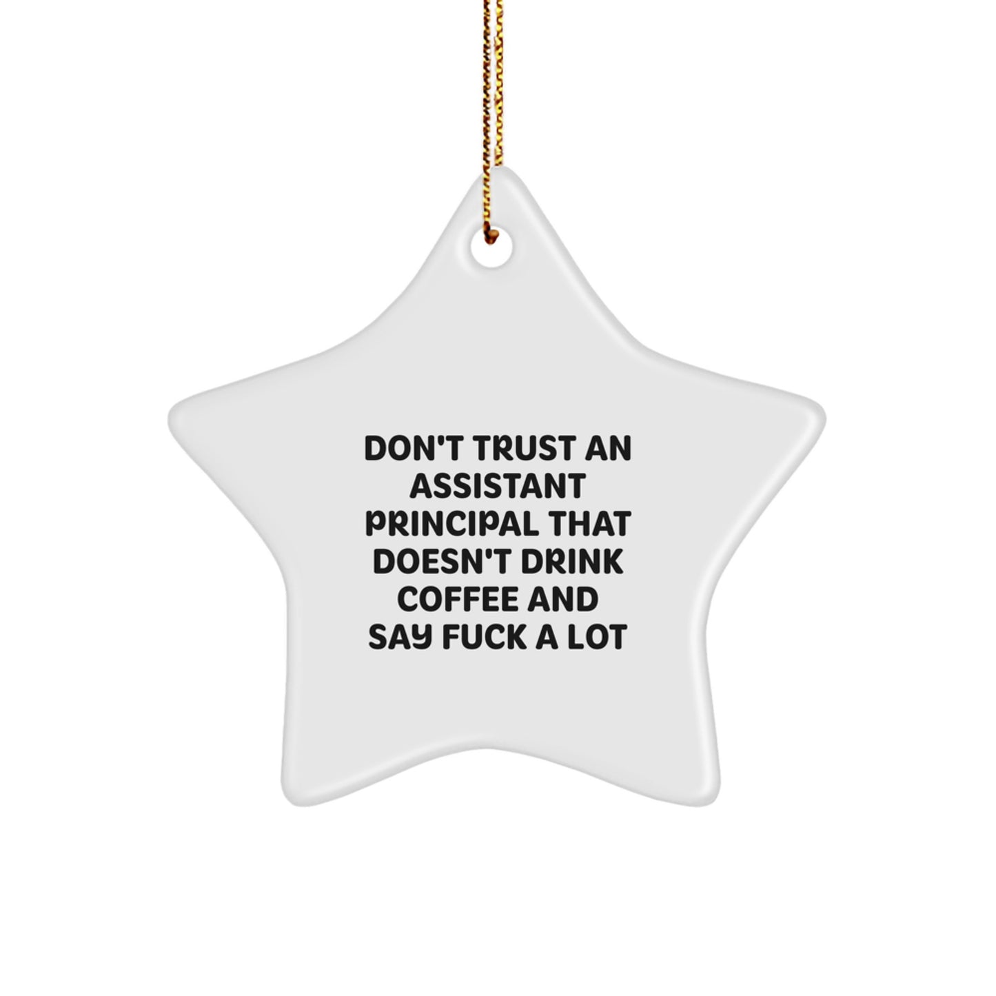 Gifts from Men for Assistant Principal - Funny Star Ornament for Christmas Unique Gifts - Office Decor for Assistant Principal - Image 1