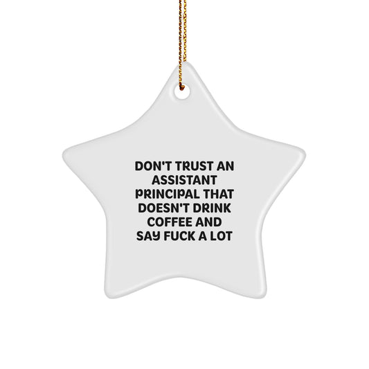 Gifts from Men for Assistant Principal - Funny Star Ornament for Christmas Unique Gifts - Office Decor for Assistant Principal - Image 1