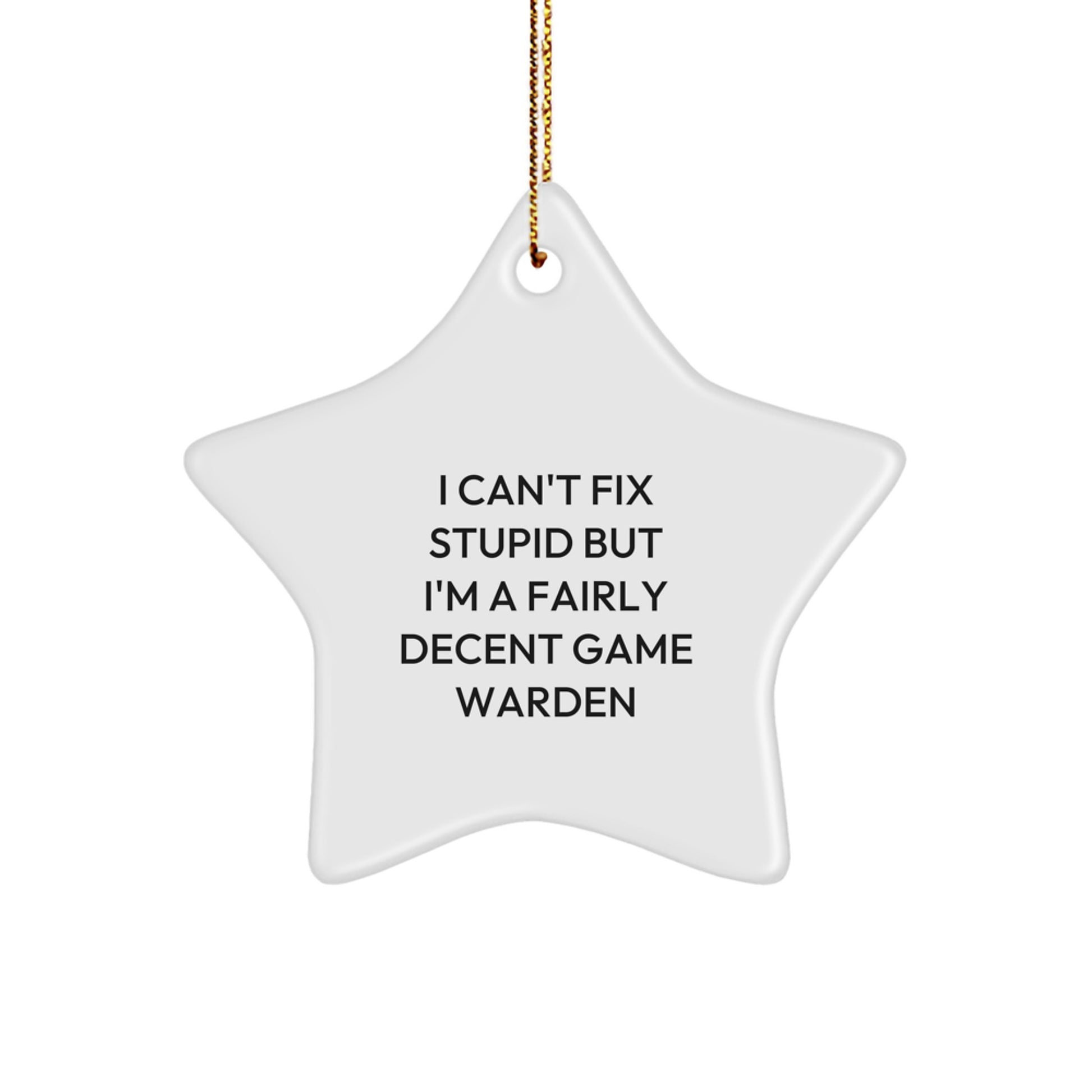 Funny Game Warden Christmas Unique Gifts from Friends for Men - I Can't Fix Stupid Star Ornament, Game Warden Star Decoration - Image 1