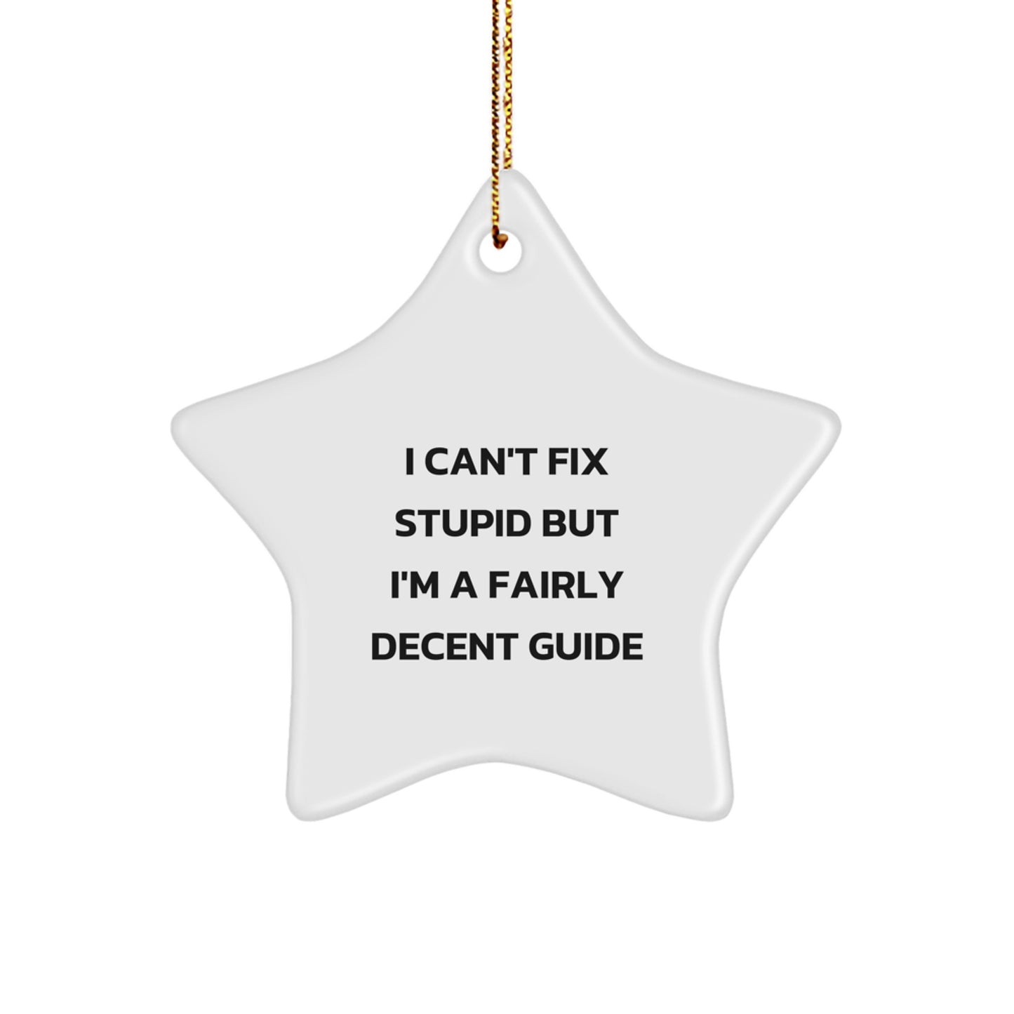 Funny Guide Gifts from Men, Women, Friends, and Family - 'I Can't Fix Stupid But I'm A Fairly Decent Guide' Star Ornament for Guide Enthusiasts and Christmas Unique Gifts - Image 1