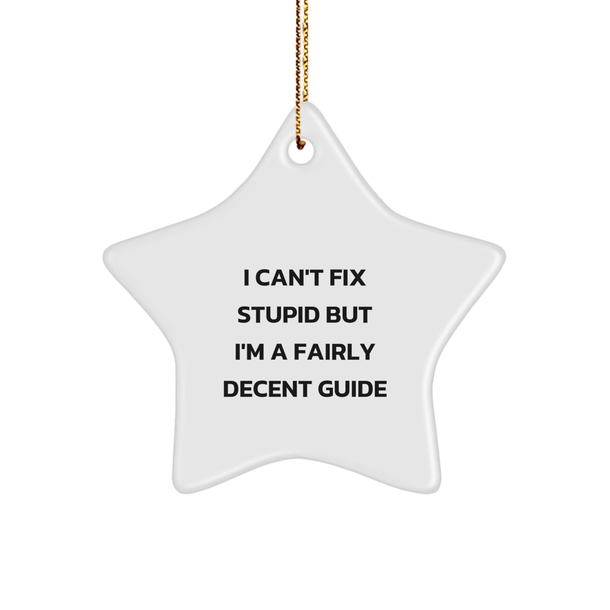 Funny Guide Gifts from Men, Women, Friends, and Family - 'I Can't Fix Stupid But I'm A Fairly Decent Guide' Star Ornament for Guide Enthusiasts and Christmas Unique Gifts - Image 1