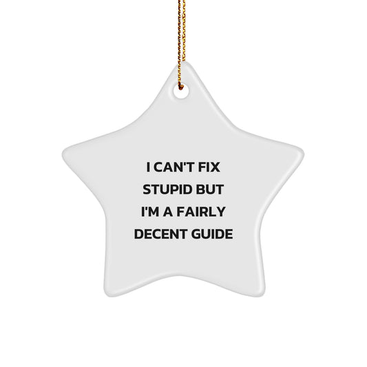 Funny Guide Gifts from Men, Women, Friends, and Family - 'I Can't Fix Stupid But I'm A Fairly Decent Guide' Star Ornament for Guide Enthusiasts and Christmas Unique Gifts - Image 1