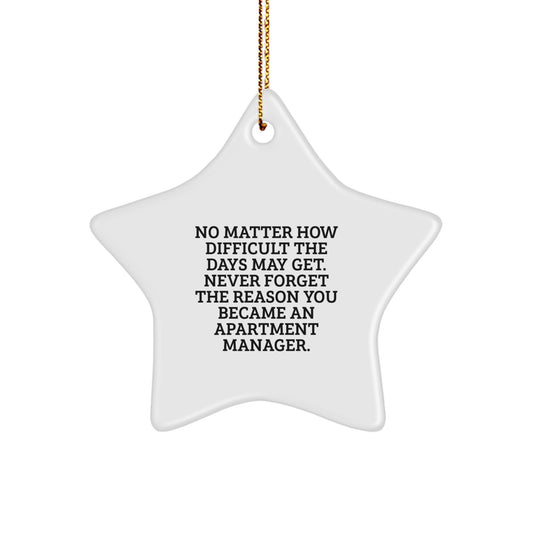 Funny Star Ornament Gifts from Friends to Apartment Manager, Christmas Unique Decorations, Never Forget Your Reason, Star Shaped Apartment Manager Gifts - Image 1