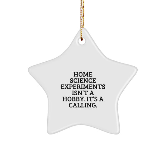 Home Science Experiments Gifts for Family, Friends and Coworkers - Inspirational Star Ornament with Funny Quote, Christmas Unique Gifts from Men, Women, and Kids - Image 1