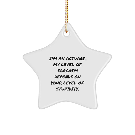 Funny Actuary Gifts for Men Christmas Unique Star Ornament from Colleagues, Actuary Star Ornament for Friends and Family, Sarcasm Level Gift - Image 1