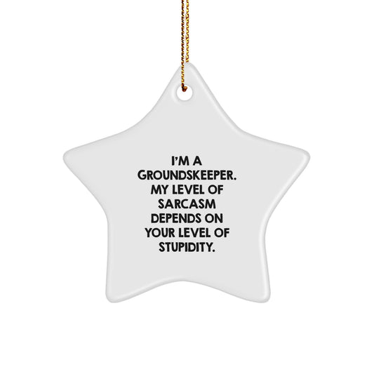 Funny groundskeeper Star Ornament Gifts from Friends for Christmas, Gift Ideas for groundskeepers, Sarcasm Level Depends on Stupidity, groundskeeper Men and Women Gifts, Christmas Unique Gifts - Image 1