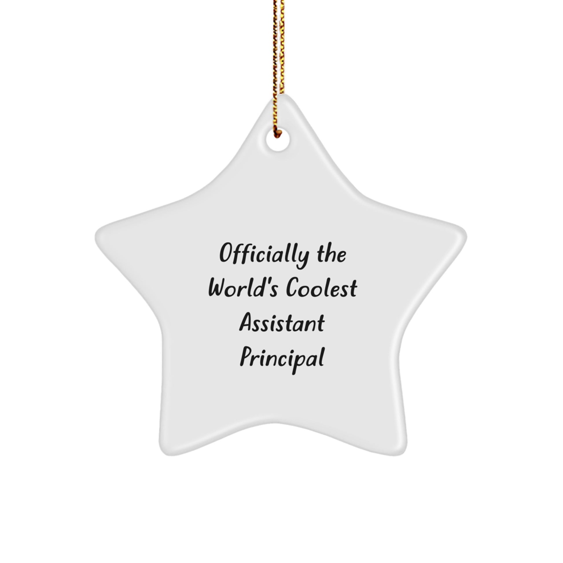 Funny Assistant Principal Gifts for Christmas, Officially The World's Coolest Star Ornament, Gifts from Friends and Family - Image 1