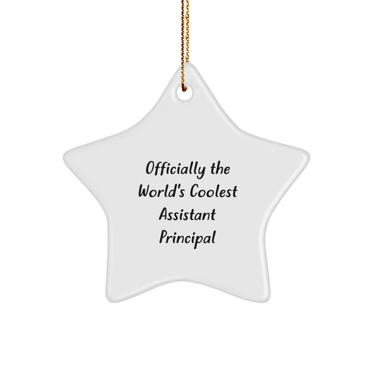 Funny Assistant Principal Gifts for Christmas, Officially The World's Coolest Star Ornament, Gifts from Friends and Family - Image 1