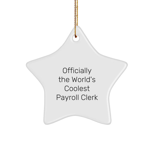 Officially The World's Coolest Payroll Clerk Star Ornament, Gifts from Friends for Payroll Clerks, Christmas Unique Gifts