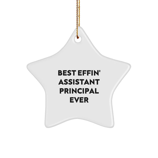 Funny Assistant Principal Gifts from Friends Christmas Unique Star Ornaments, Best Effin' Assistant Principal Ever, Perfect for Assistant Principals, Men, Women, Coworkers, Family - Image 1