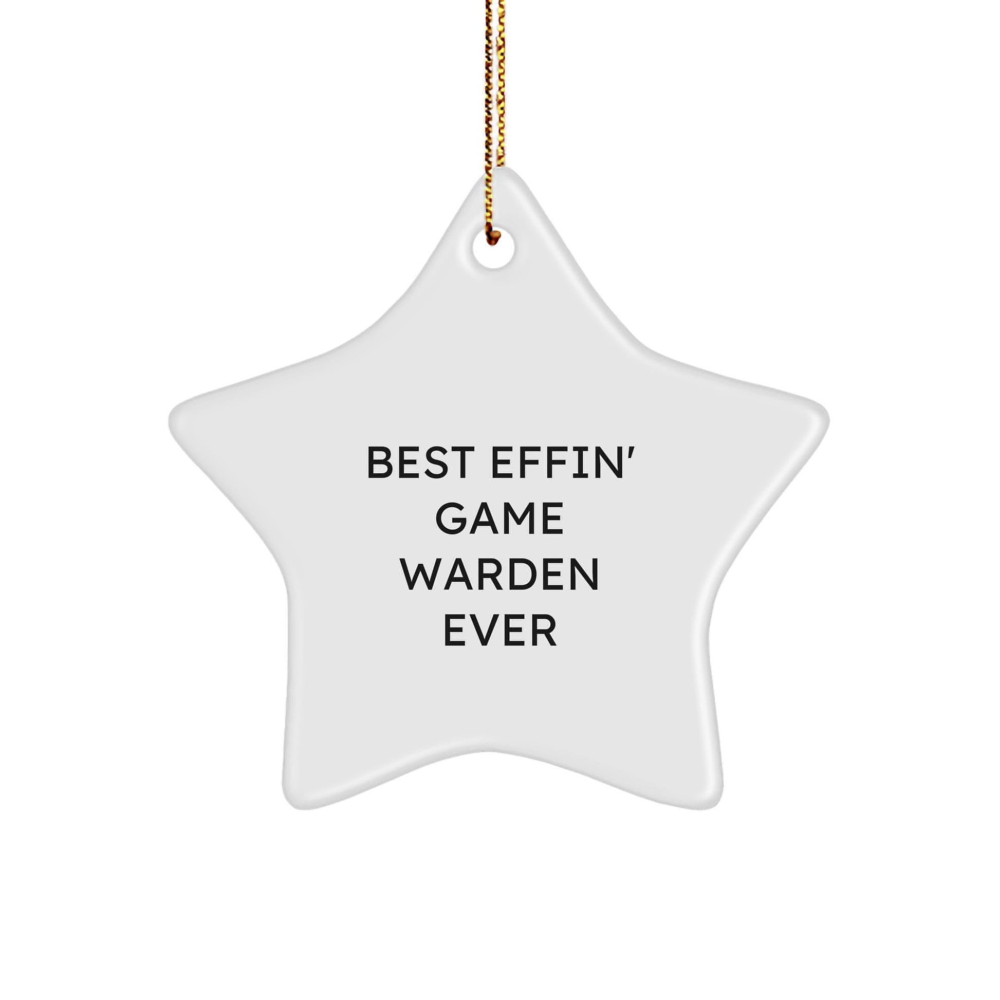 Funny Game Warden Gifts from Friends Unique Star Ornaments for Game Wardens Christmas Unique Gifts - Image 1