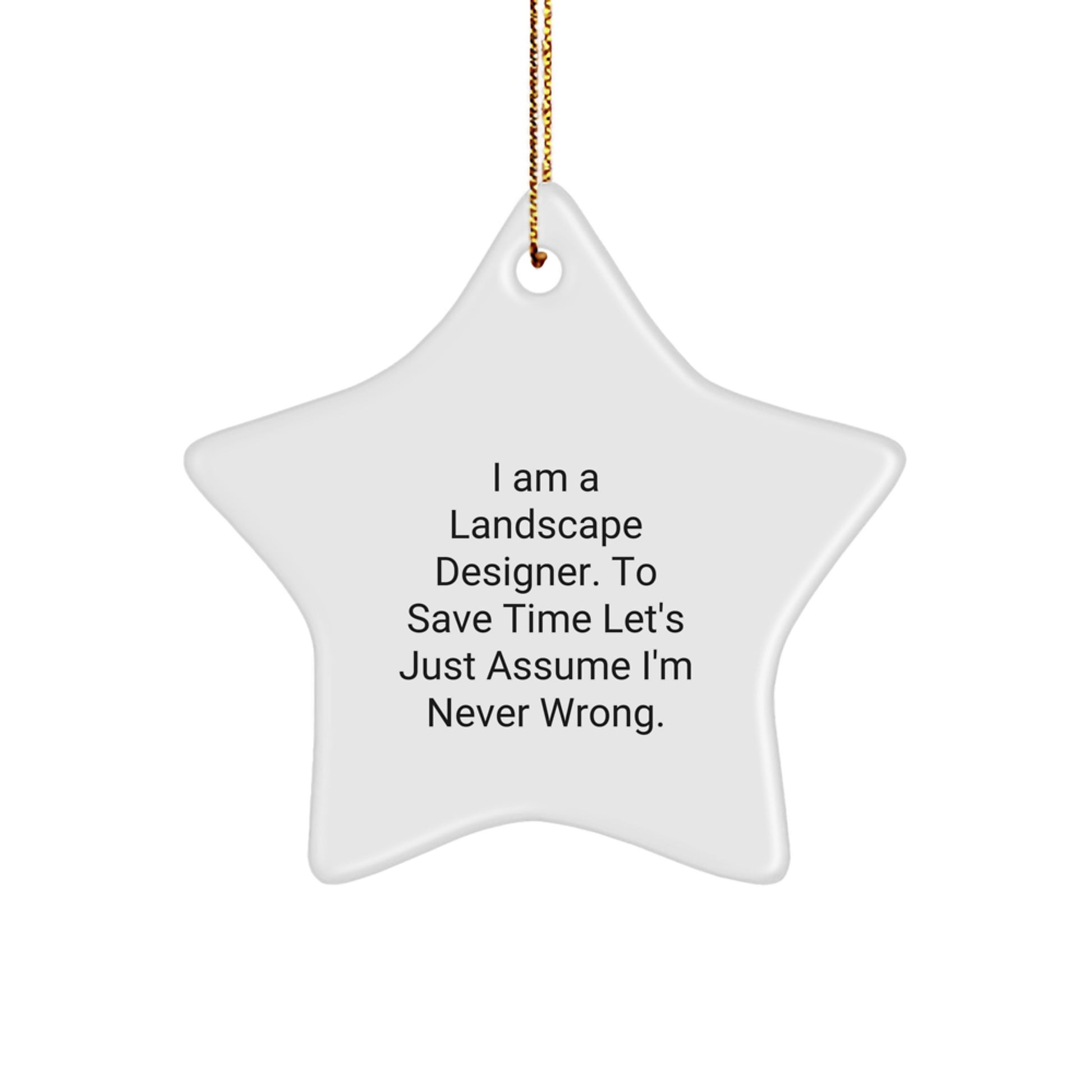 Funny Landscape Designer Gifts from Friends, Star Ornament for Christmas Unique Gifts, I 'm Never Wrong - White Star Shaped Decoration - Image 1
