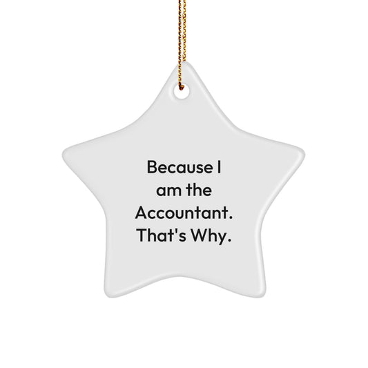 Funny Accountant Gifts from Friends, Cute Star Ornament for Accountant Coworkers, Unique Christmas Memorable Presents for Men - Image 1