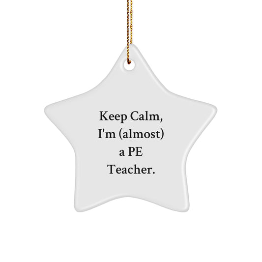 Funny PE Teacher Star Ornament Gifts from Friends, Family, or Coworkers for Christmas Unique Gifts - Image 1