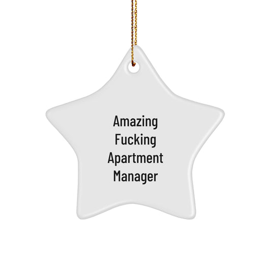 Funny Apartment Manager Star Ornament Gifts from Friends for Men or Women - Christmas Unique Decoration - Image 1