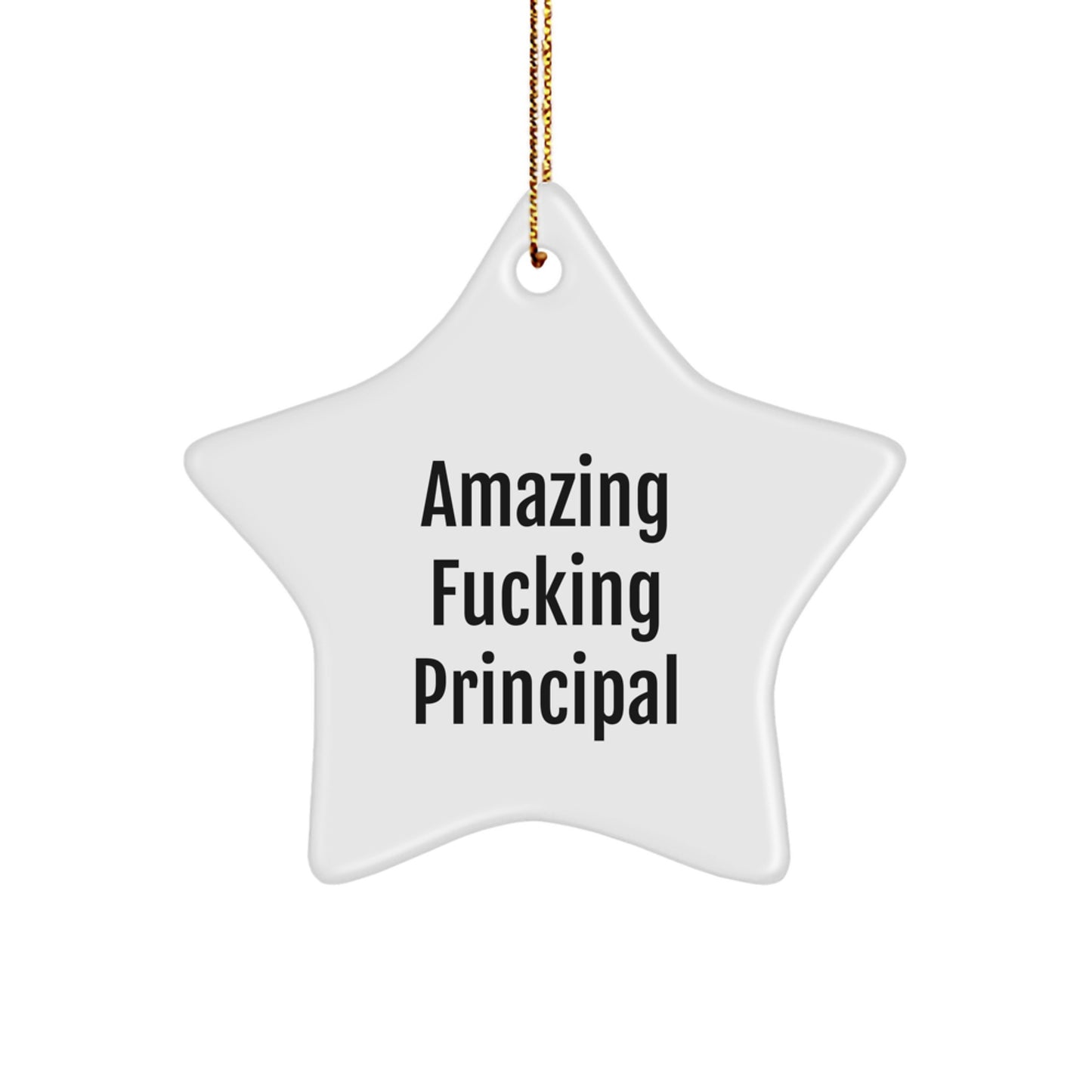 Funny Principal Star Ornament Gifts from Friends for Principal, Amazing Quote Star Ornament for Christmas Unique Gifts, Principal Star Ornament with Gold Cord - Image 1