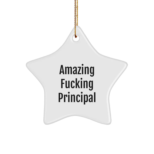 Funny Principal Star Ornament Gifts from Friends for Principal, Amazing Quote Star Ornament for Christmas Unique Gifts, Principal Star Ornament with Gold Cord - Image 1