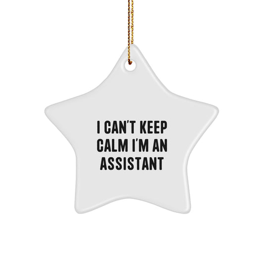 Funny Christmas Unique Gifts from Men for Assistant Star Ornaments I Can't Keep Calm I'm An Assistant - Image 1
