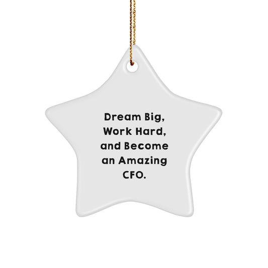 Funny Inspirational CFO Gifts from Men to Friends, CFO Star Ornament for Christmas Unique Gifts, 'Dream Big, Work Hard, And Become An Amazing Cfo.' - Image 1
