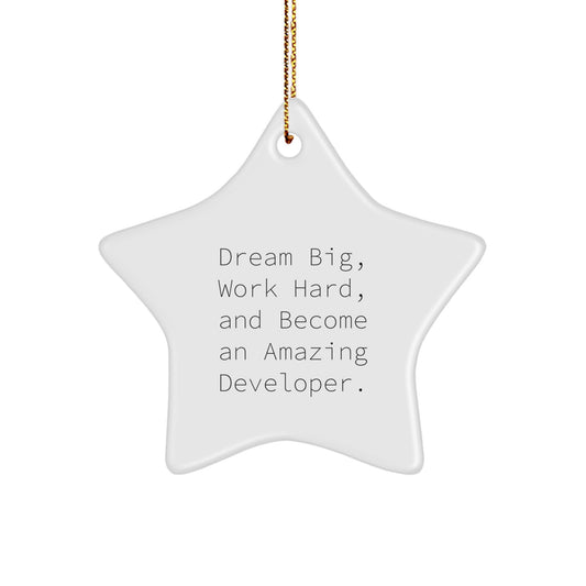 Funny Developer Star Ornament Gifts from Friends for Christmas Unique Inspirational Quotes - Image 1