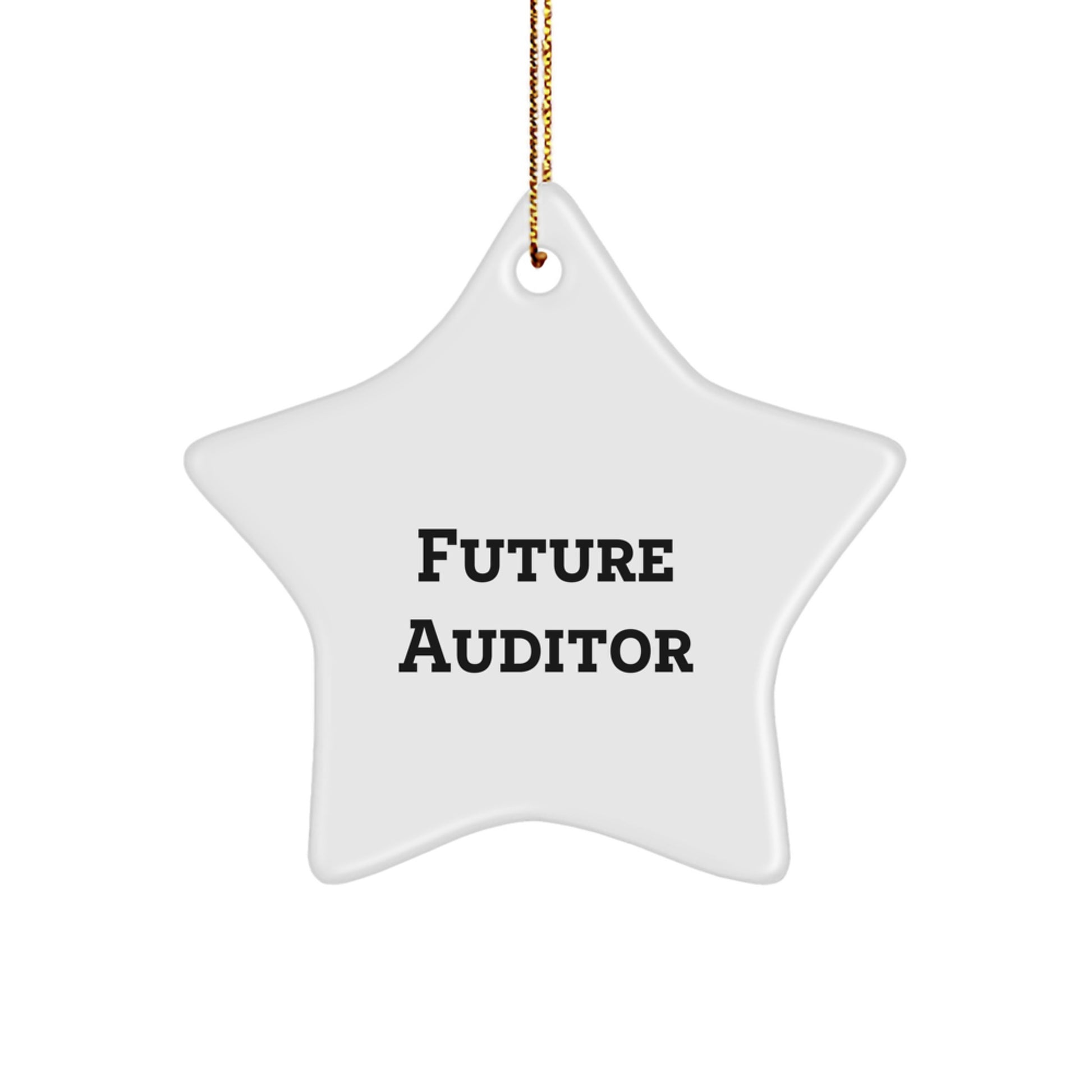 Funny Future Auditor Gifts from Friends - Star Ornament, Inspirational Quote, White, 3.25" tall with Gold Cord, Christmas Unique