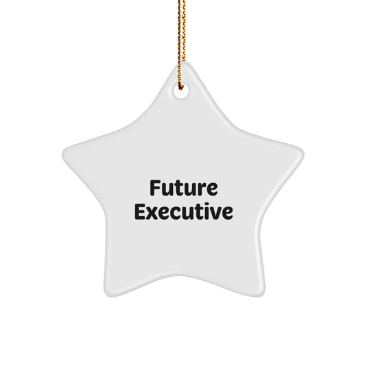 Funny Inspirational Executive Gifts from Men to Future Executive Star Ornament for Christmas - Unique Office Decor for Executive Women Friends and Family - Image 1