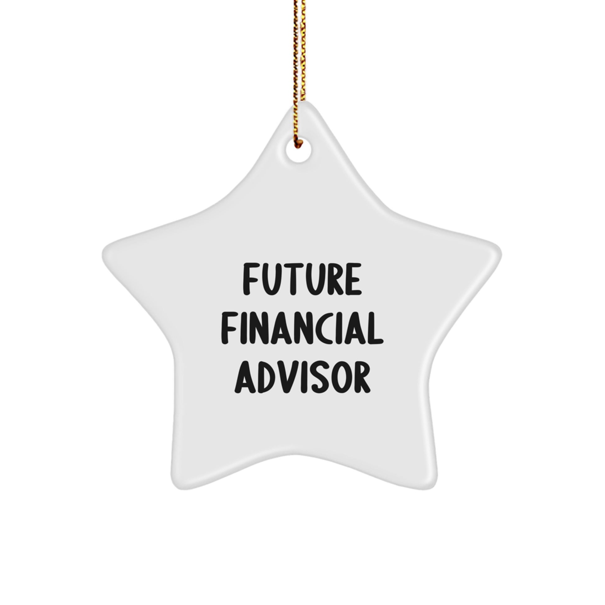 Funny Future Financial Advisor Star Ornament Gifts from Family to Financial Advisor for Christmas Unique Office Decor - Image 1