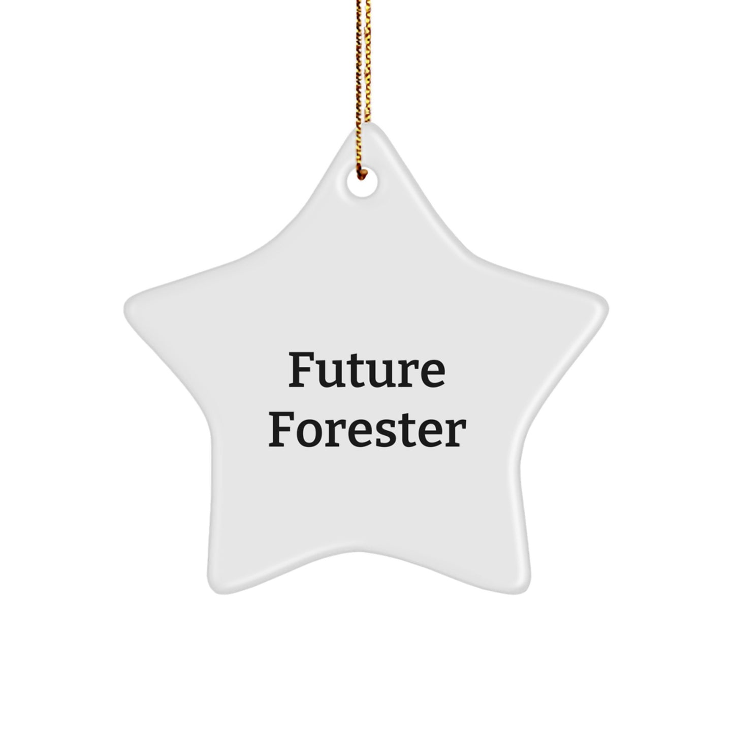 Funny Future Forester Star Ornament Gifts from Friends and Family for Christmas Decorating, Inspirational Quote - 'You are the sparkle that lights up the forest, little Forester!' - Image 1