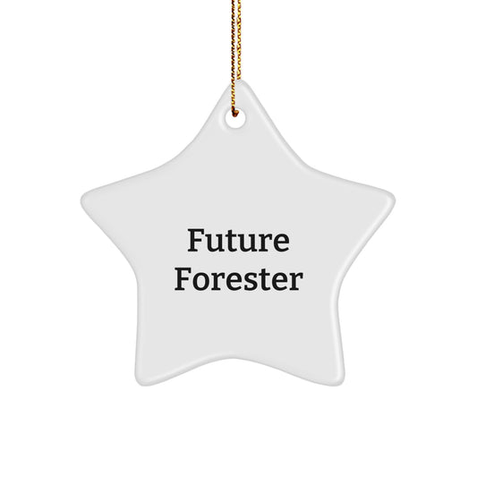 Funny Future Forester Star Ornament Gifts from Friends and Family for Christmas Decorating, Inspirational Quote - 'You are the sparkle that lights up the forest, little Forester!' - Image 1
