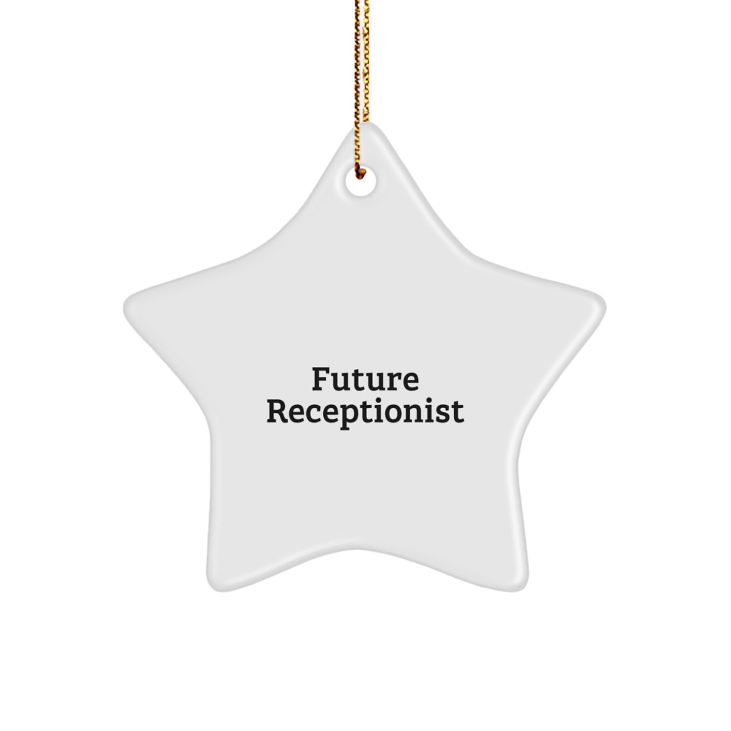 Funny Future Receptionist Star Ornament Gifts from Family, Unique Christmas Unique Gifts for Future Receptionist, Inspirational Star Ornament - Image 1