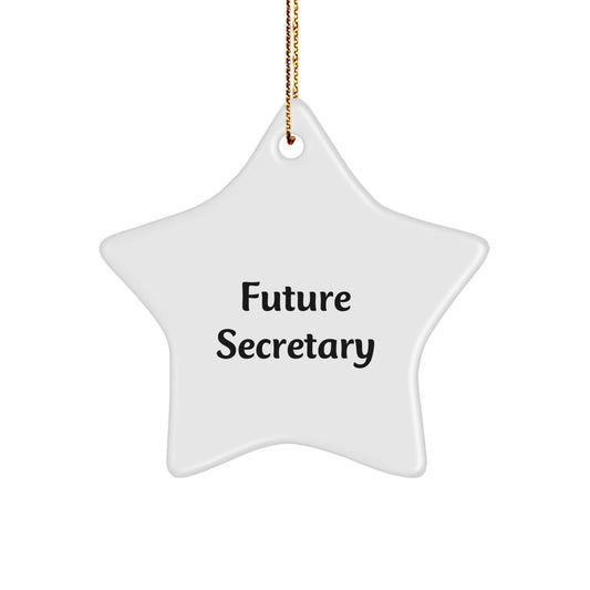 Funny Future Secretary Star Ornament for Secretary Gifts from Men, Women, Friends, Coworkers, Family - Inspirational Secretary Christmas Unique Gifts - Image 1