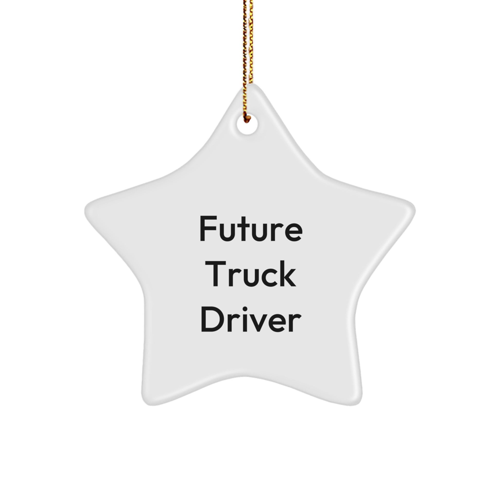 Funny Future Truck Driver Gifts, Star Ornament for Christmas Unique Presents from Family to Men, Inspirational Quote Decorations - Image 1