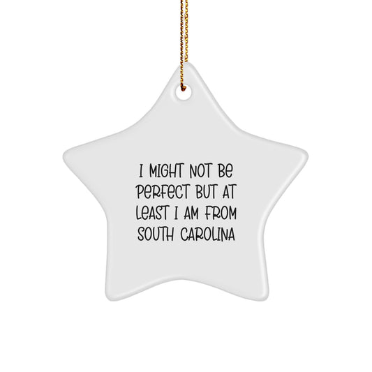 Funny South Carolina Gifts from Men - Christmas Unique Star Ornament with I Might Not Be Perfect Quote - Gifts for Friends and Family - Image 1