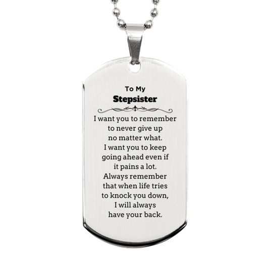 To My Stepsister Gifts, Never give up no matter what, Inspirational Stepsister Silver Dog Tag, Encouragement Birthday Christmas Unique Gifts For Stepsister - Mallard Moon Gift Shop
